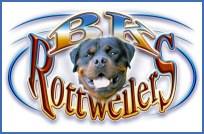 BK Rottweilers